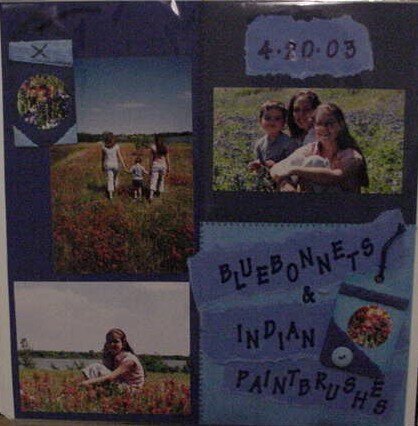 Bluebonnets &amp; Indian Paintbrushes (pg 1)