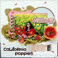 California Poppies **My Scrapbook Nook**