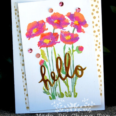 "Hello" Shimmering Poppies