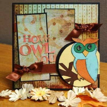 How Owl You? **Moments-2-Remember**