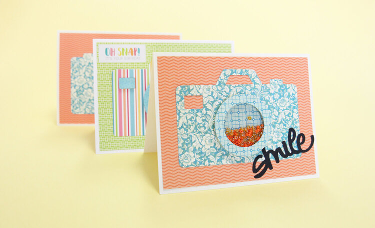 Picture Perfect Shaker Card