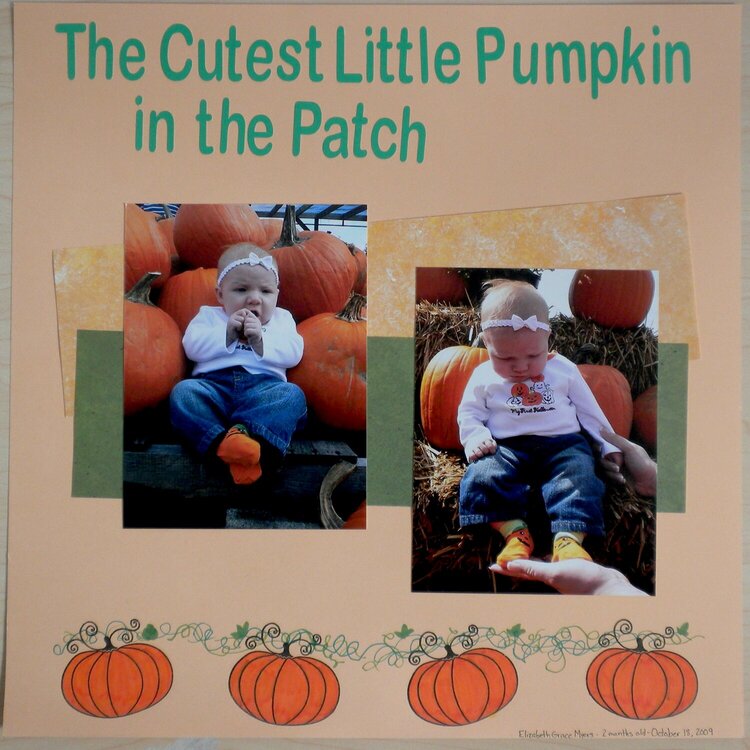 The Cutest Little Pumpkin in the Patch