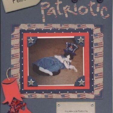 Feline Patriotic