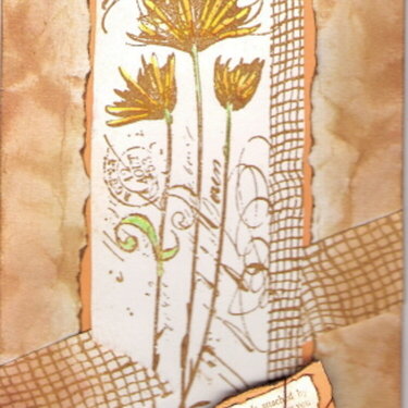 Tag book cover