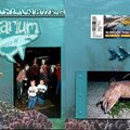 Gatlinburg Aquarium - Penn