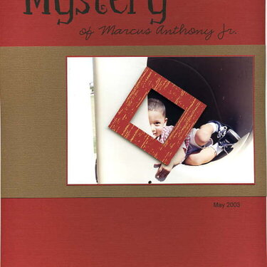 Mystery of Marcus Anthony