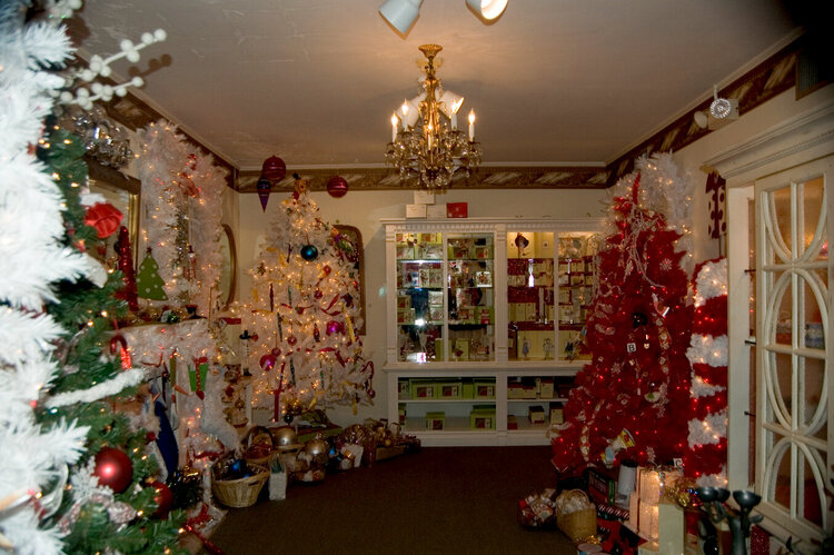 Roger&#039;s Christmas House-2