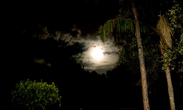 Moonglow