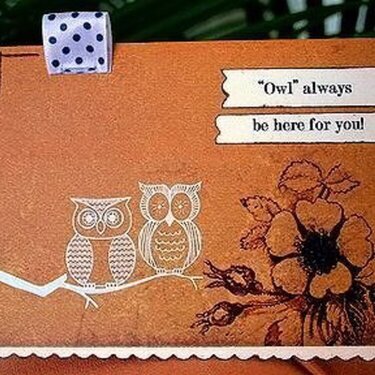 &gt;&gt;Owl Always be Here for You&lt;&lt; - June Poppy Ink