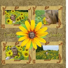 sunflowers3