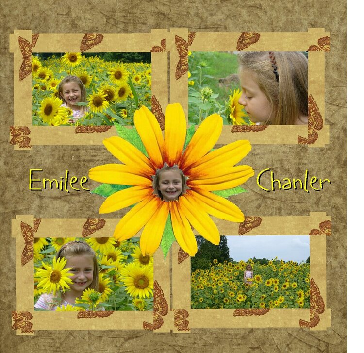 sunflowers3