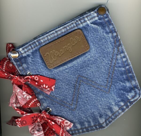 Jeans Pocket Mini Album