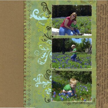Drake in the Bluebonnets
