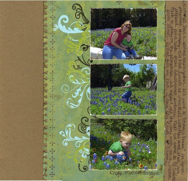 Drake in the Bluebonnets