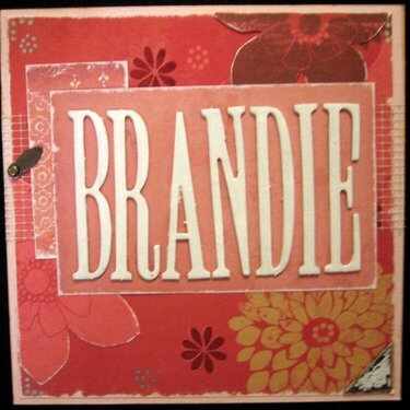Brandie&#039;s Book