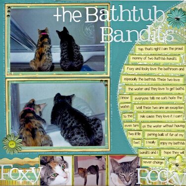 Bathtub Bandits
