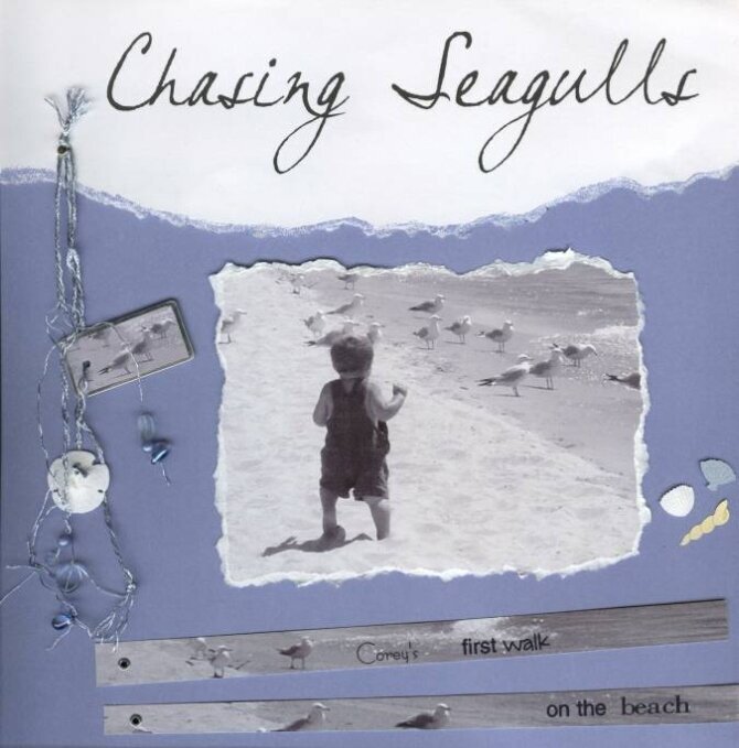 Chasing Seagulls