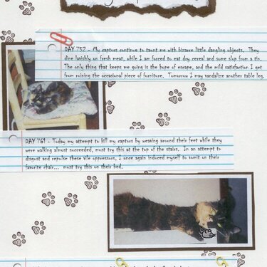 Diary of a Cat, Page 1