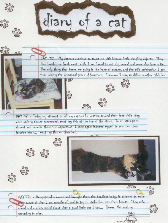Diary of a Cat, Page 1