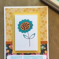 Birthday Bloom MFT Color Challenge