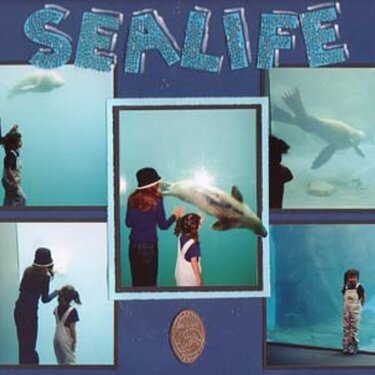Alaska Sealife Center pt. 2