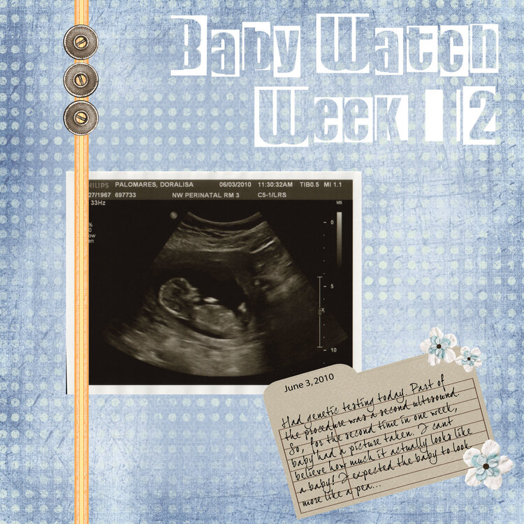 Baby Watch - Week 12