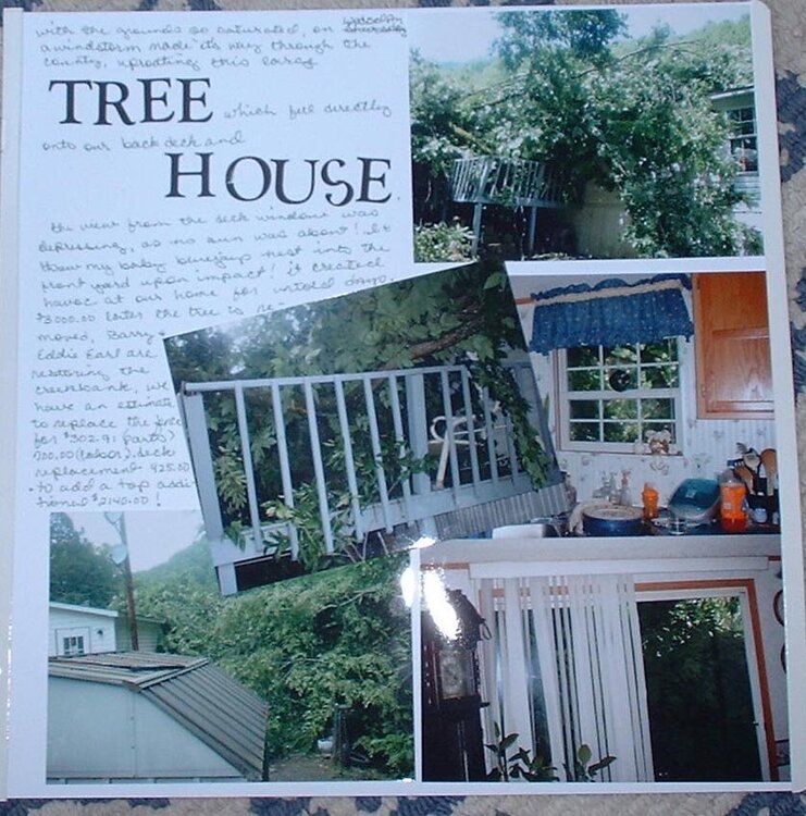 our tree house