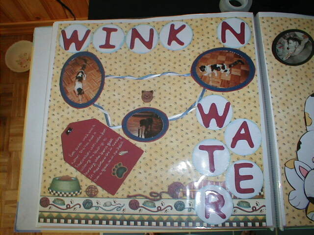 Wink N Water