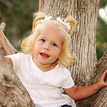 My niece in a tree - altered
