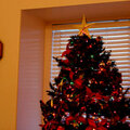 Our Christmas Tree (AWB)