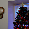 Our Christmas Tree (Expodisc)