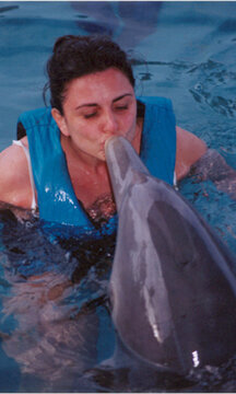 A kiss from a Dolphin