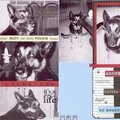 Dog Days - Badge 2005