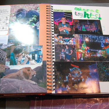 Alex&#039;s Disney Journal - Animal Kingdom &amp; Osborne Lights