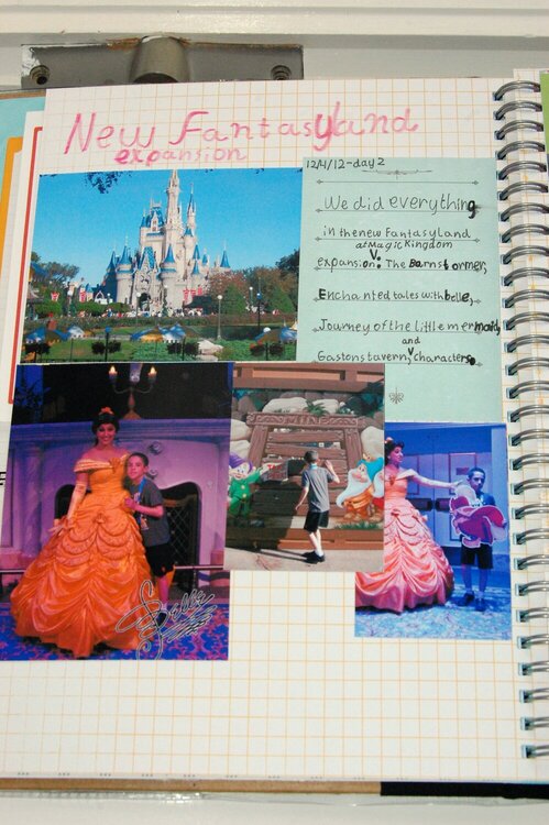 Alex&#039;s Disney Journal - New Fantasyland