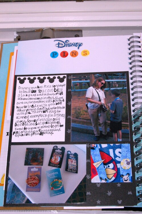 Alex&#039;s Disney Journal - Pin Trading