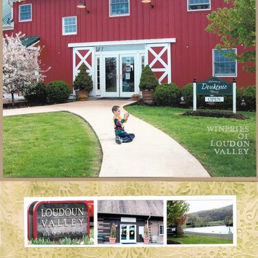 Wineries of Loudon Valley (1)