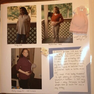 My Pregnancy Page 2