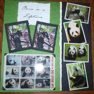 Page 2 panda