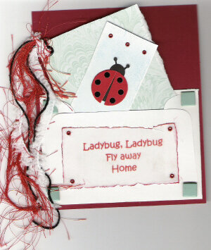 ladybug card and envelope