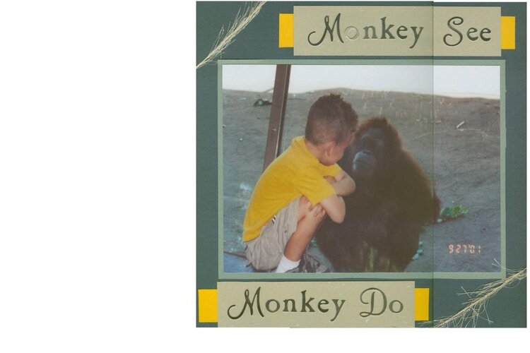 Monkey See