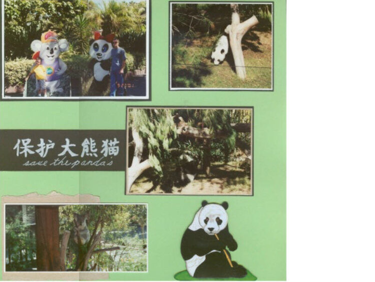 Save the Panda&#039;s