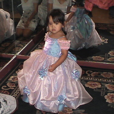 RoVie&#039;s Princess Gown