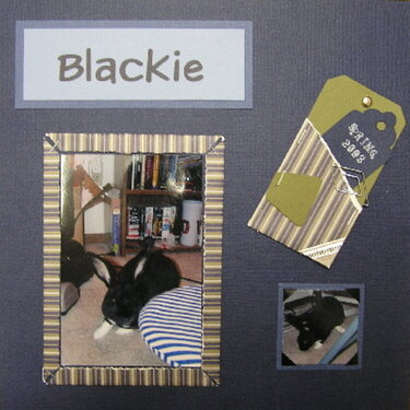 Blackie 1 - Scrapvivor Wk 6