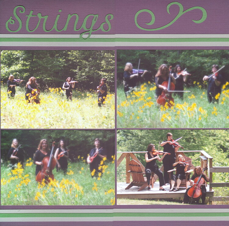 Woodland Strings 2