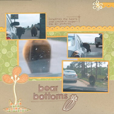 bear bottoms