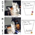 Got Milk?