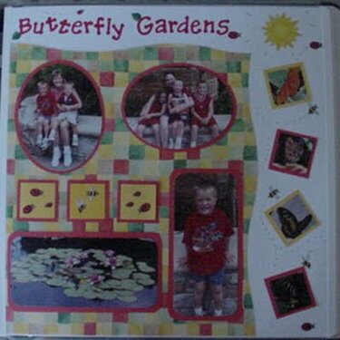 Butterfly Gardens
