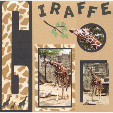 Giraffe (Columbus Zoo)