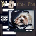 No.1 Cat's Fan